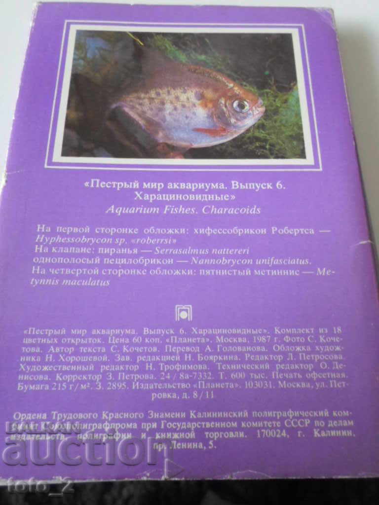 LOT OF OLD RUSSIAN CARDS WITH AQUARIUM FISH - DISCOUNT !!! with price 2.50 BGN | € 1.28