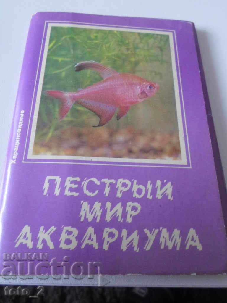 LOT OF OLD RUSSIAN CARDS WITH AQUARIUM FISH - DISCOUNT !!!