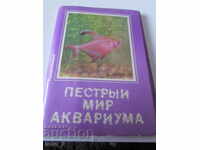 LOT OF OLD RUSSIAN CARDS WITH AQUARIUM FISH - DISCOUNT !!!