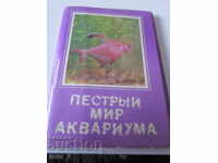 LOT OF OLD RUSSIAN CARDS WITH AQUARIUM FISH - DISCOUNT !!!