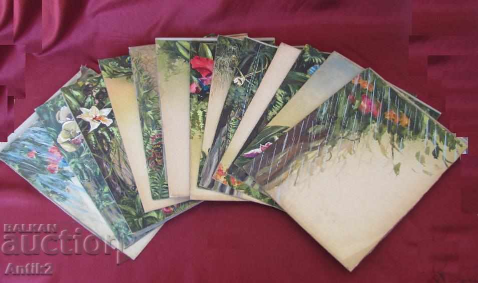 The 40 Original Aquariums for Children's Booklet 13 pieces with price 2300.00 BGN | € 1175.97 The 40 Original Aquariums for Children's Booklet 13 pieces with price 2300.00 BGN | € 1175.97