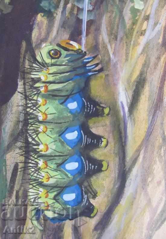 Delivery of The 40 Original Aquariums for Children's Booklet 13 pieces Delivery of The 40 Original Aquariums for Children's Booklet 13 pieces