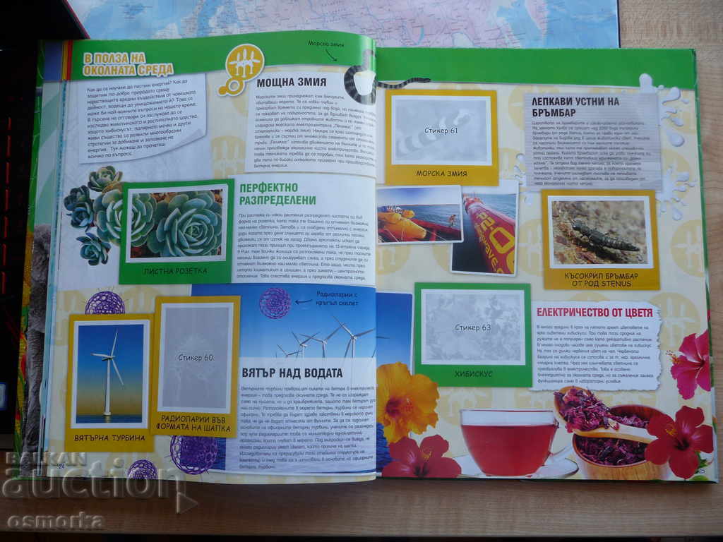 Auction  Billa Sticker - Nature's invented Billa Records