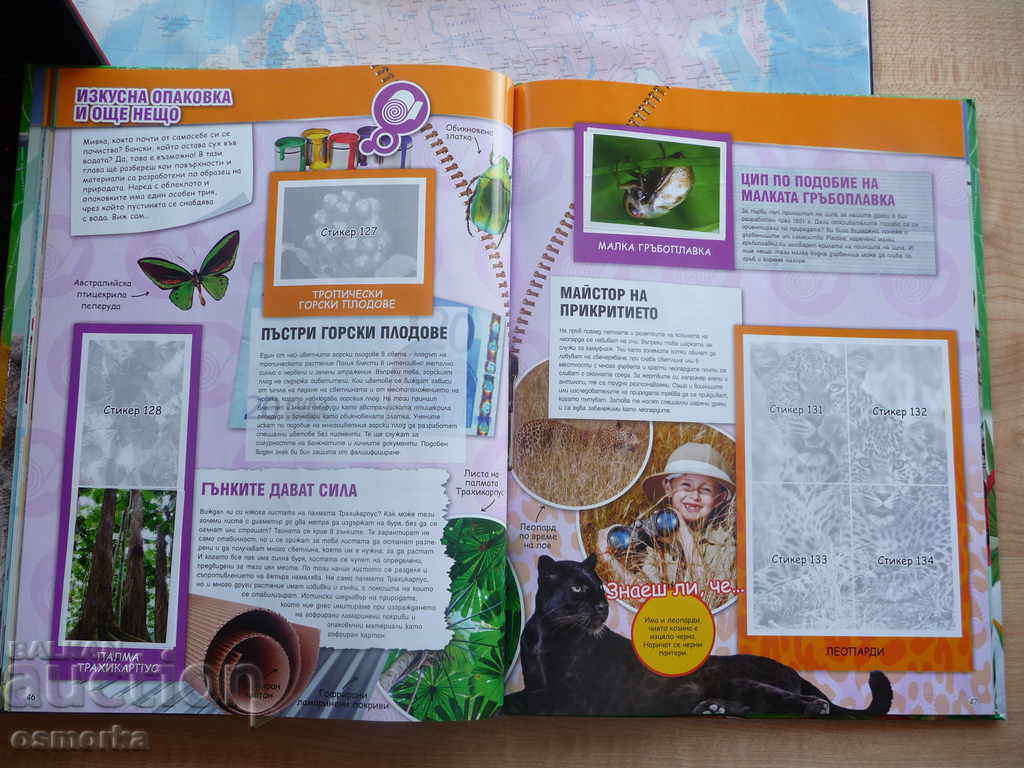 Delivery of Billa Sticker - Nature's invented Billa Records