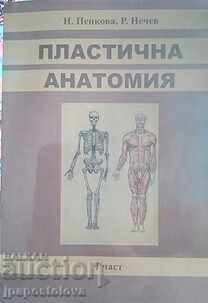 Anatomia din plastic. 1 parte - P. Penkova, R. Nechev