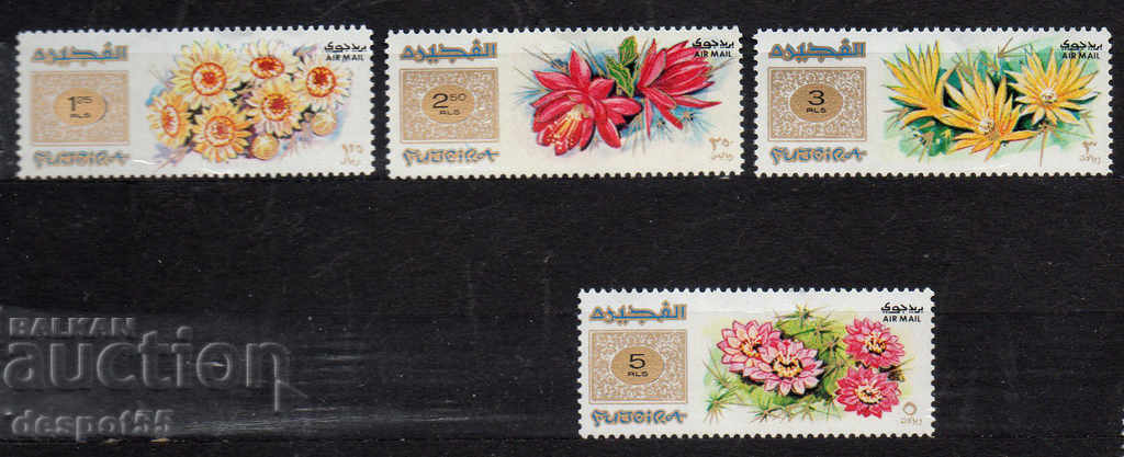 1969. Fujairah. Άγρια λουλούδια.