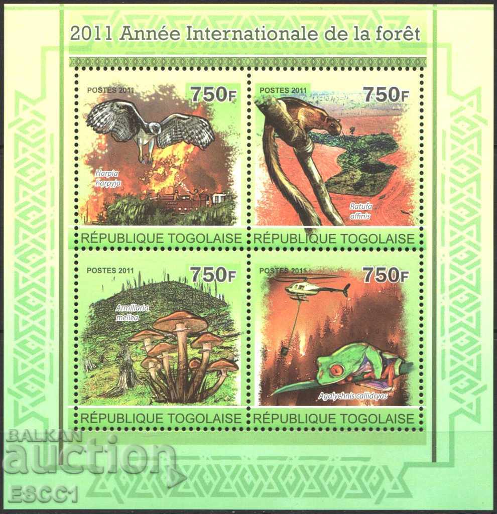 Pure Blossom έτος του δάσους 2011 από το Τόγκο