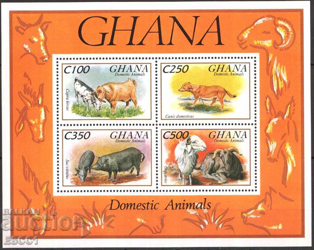 Чист блок Фауна Домашни животни 1993 от Гана