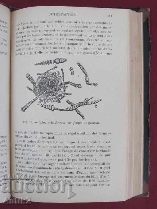 Delivery of 1921 Medical Book Microbiology Paris Delivery of 1921 Medical Book Microbiology Paris