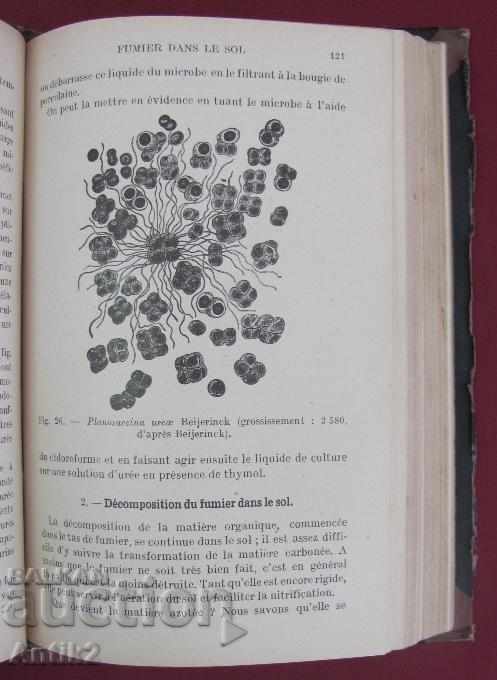1921 Medical Book Microbiology Paris - 5 1921 Medical Book Microbiology Paris - 5
