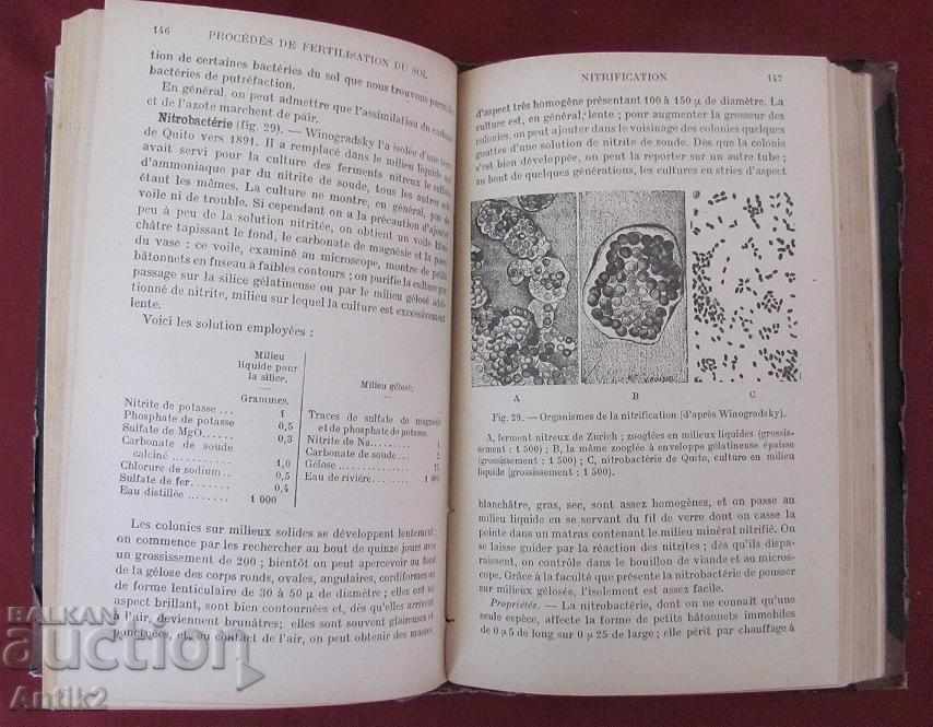 1921 Medical Book Microbiology Paris - 6 1921 Medical Book Microbiology Paris - 6