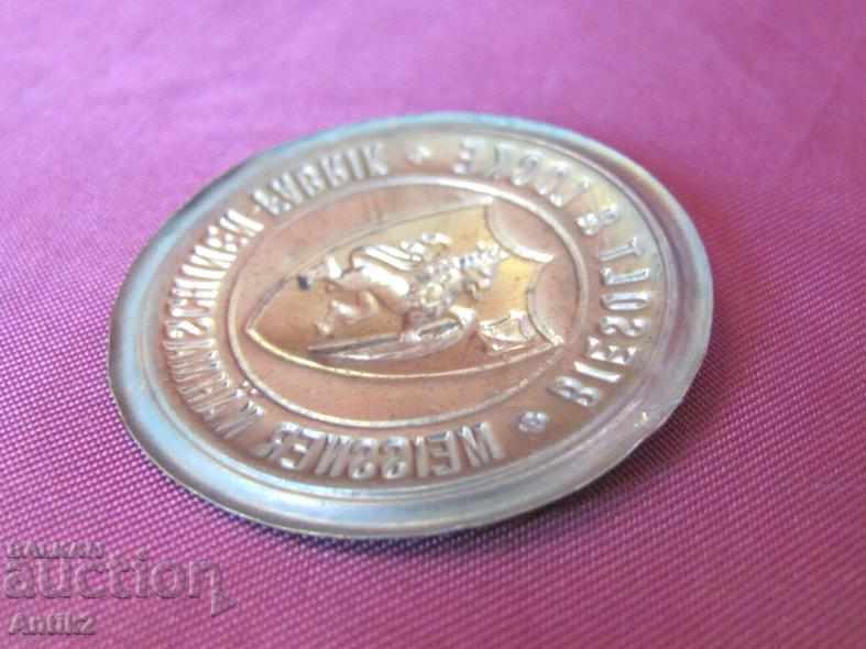 19th Century Bronze Emblem on the Cashier - 6 19th Century Bronze Emblem on the Cashier - 6