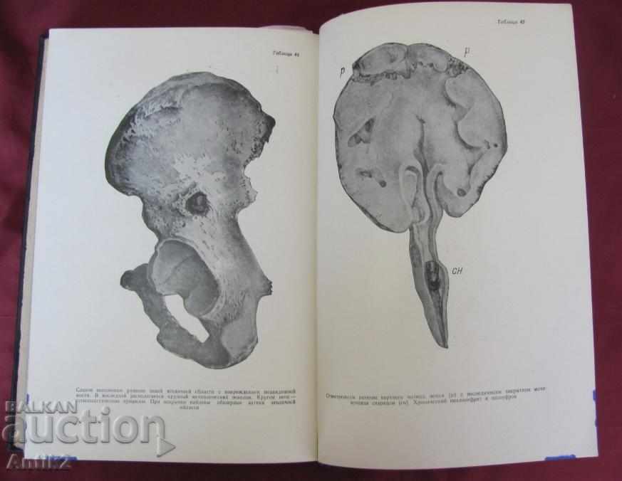 Delivery of 1952 Book of Fire Wounds of Man Tom 1 Moscow Delivery of 1952 Book of Fire Wounds of Man Tom 1 Moscow