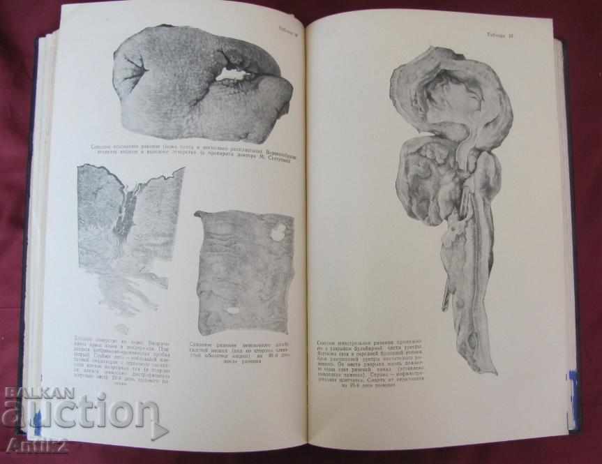 1952 Book of Fire Wounds of Man Tom 1 Moscow - 5 1952 Book of Fire Wounds of Man Tom 1 Moscow - 5