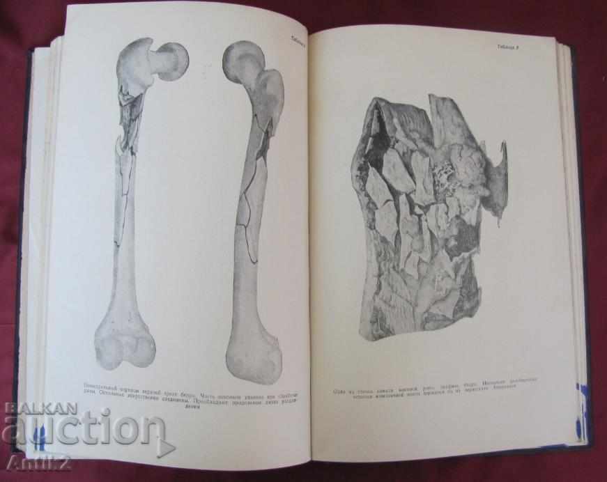 1952 Book of Fire Wounds of Man Tom 1 Moscow - 7 1952 Book of Fire Wounds of Man Tom 1 Moscow - 7