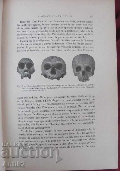 1926 LES RACES ET LES PEUPLES rare - 5