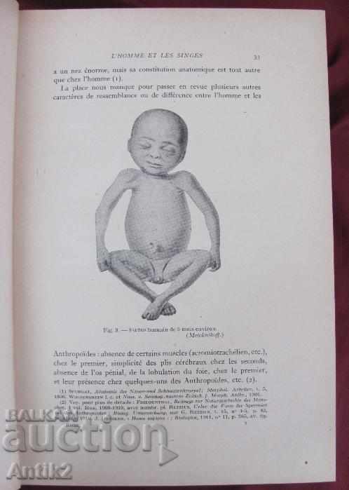 1926 LES RACES ET LES PEUPLES rare - 6