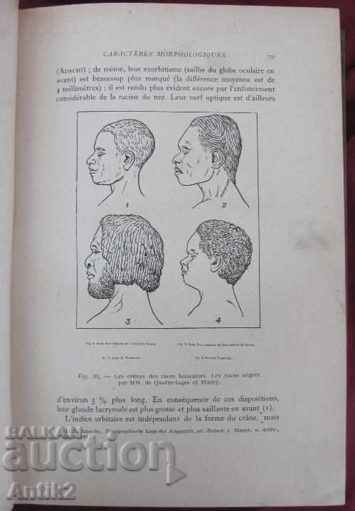 1926 LES RACES ET LES PEUPLES rare - 7