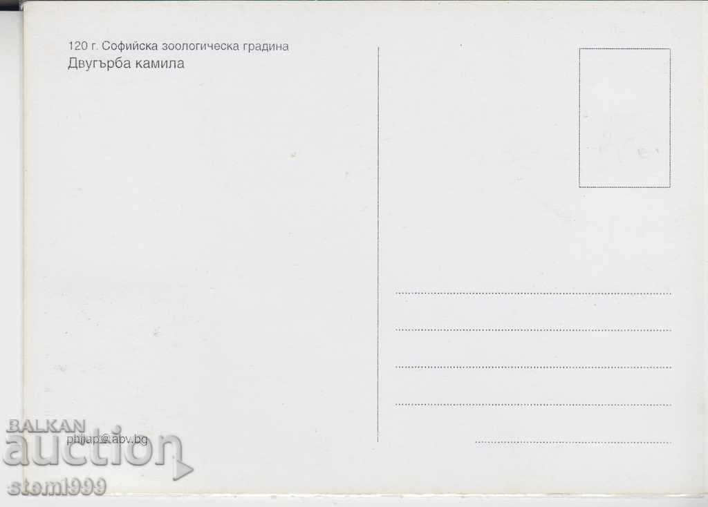 Postcard FDC Zoo Animals Fauna with price 1.80 BGN | € 0.92 Postcard FDC Zoo Animals Fauna with price 1.80 BGN | € 0.92
