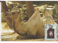 Пощенска карта FDC Зоопарк Животни Фауна