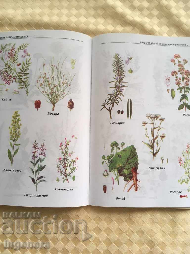 BOOK-HEALTH FROM NATURE-HERBAL RECIPES PHOTOS with price 9.00 BGN | € 4.60 BOOK-HEALTH FROM NATURE-HERBAL RECIPES PHOTOS with price 9.00 BGN | € 4.60
