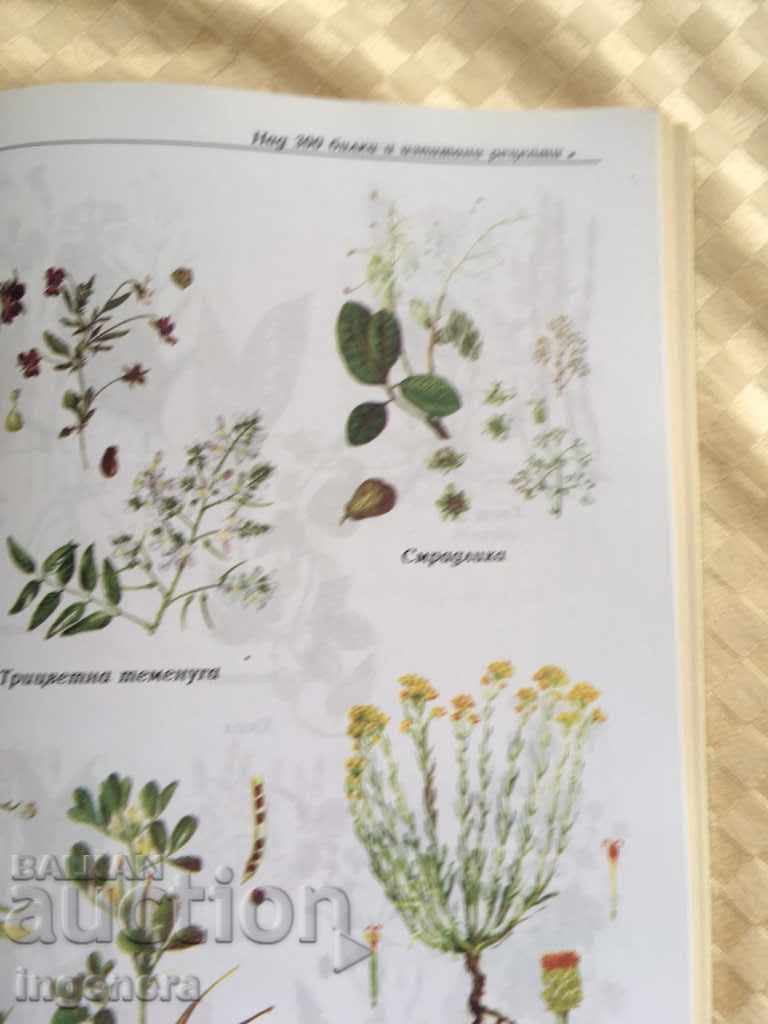 Auction BOOK-HEALTH FROM NATURE-HERBAL RECIPES PHOTOS Auction BOOK-HEALTH FROM NATURE-HERBAL RECIPES PHOTOS