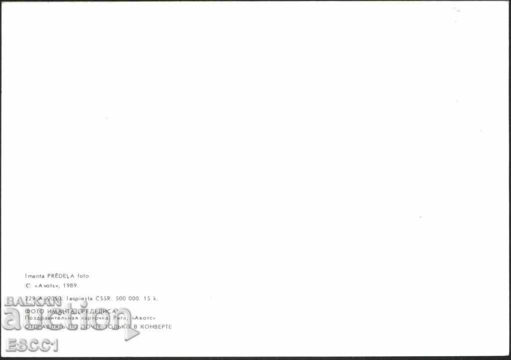 Postcard Flora Flowers 1989 from the USSR Latvia with price 1.00 BGN | € 0.51 Postcard Flora Flowers 1989 from the USSR Latvia with price 1.00 BGN | € 0.51