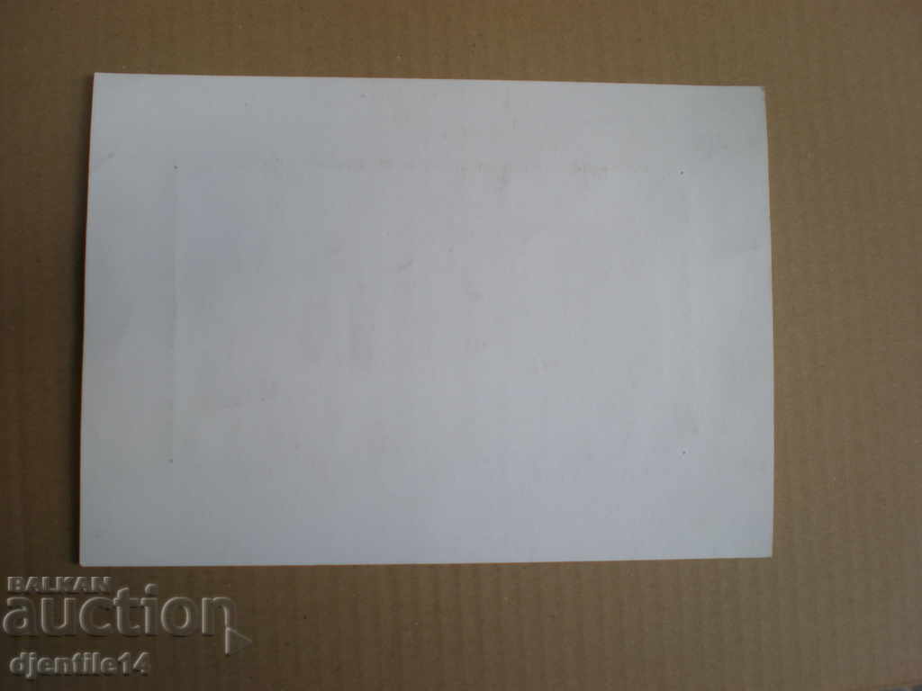 Delivery of drawing chemical Vl.Vichev 1963 Delivery of drawing chemical Vl.Vichev 1963