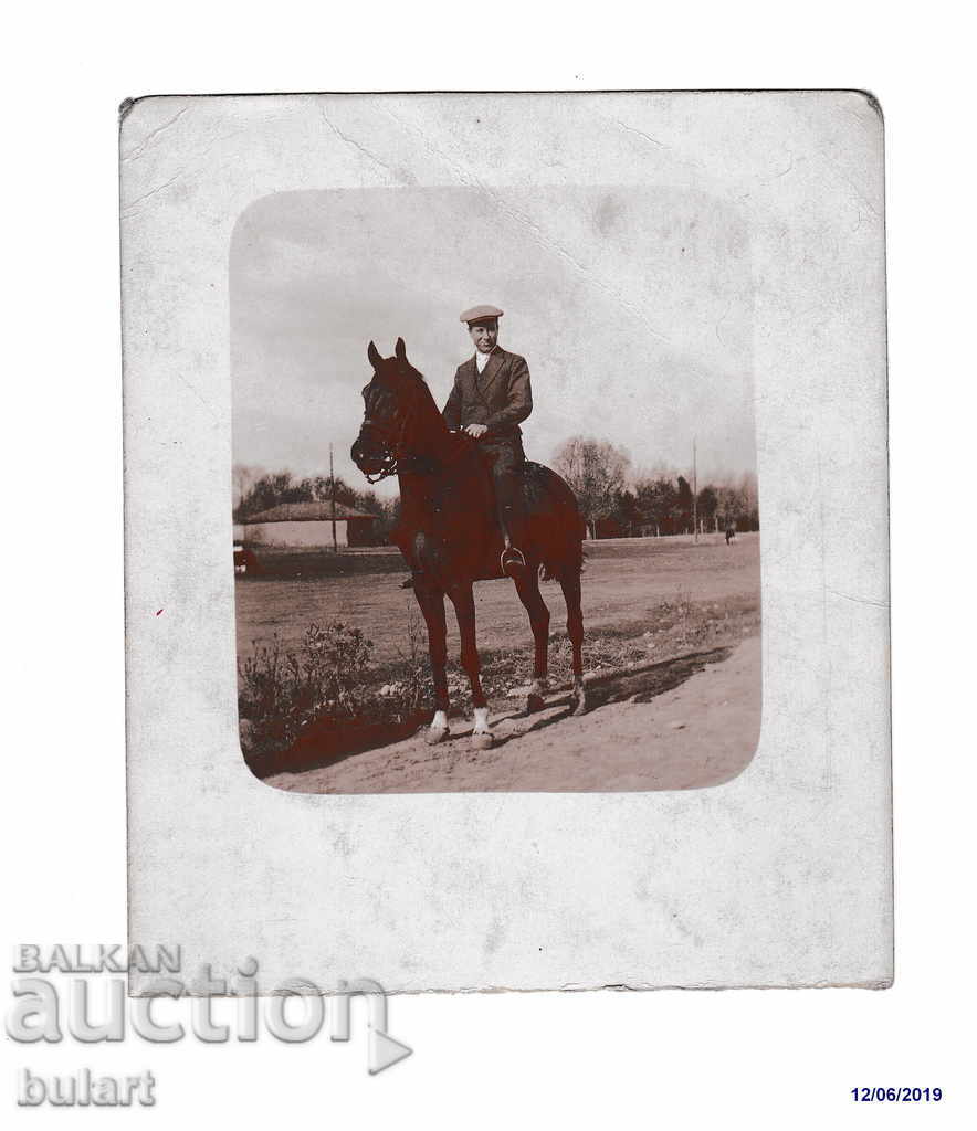 Cartea poștală Fotografia veche a unui aristocrat cal alb negru