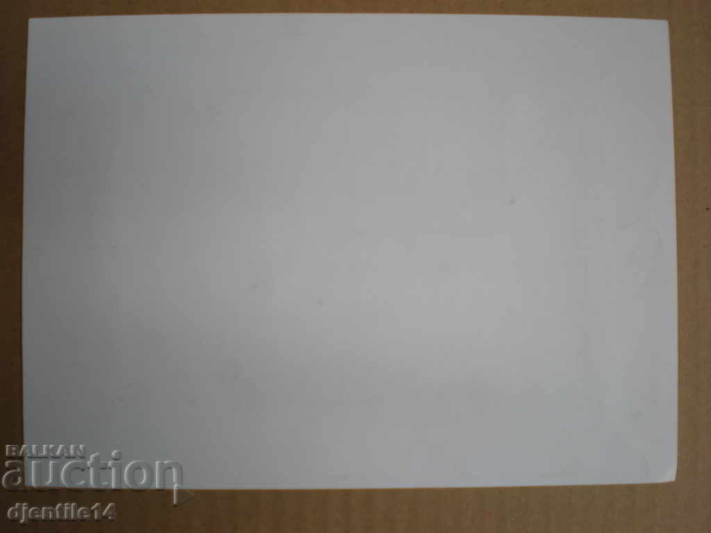 desen chimic Vl.Vichev 1959 - 5