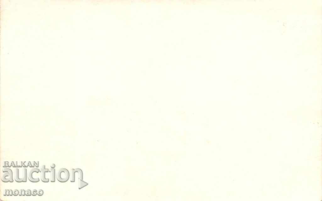 Old card - Narechen's baths, General view with price 3.50 BGN | € 1.79 Old card - Narechen's baths, General view with price 3.50 BGN | € 1.79