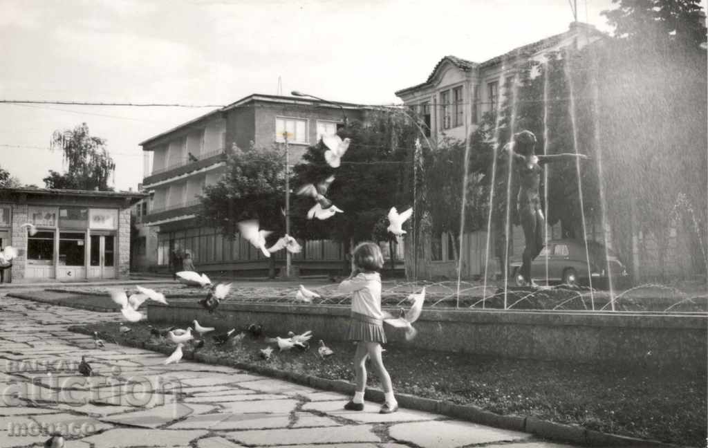 Стара картичка - Крумовград, Фонтан с гълъби
