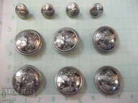 A lot of iron metal buttons