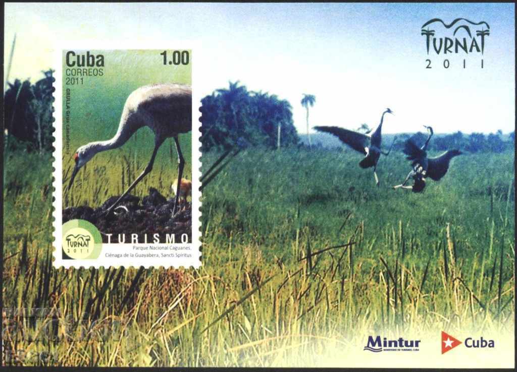 Чист блок  Фауна  Птици  2011  Куба