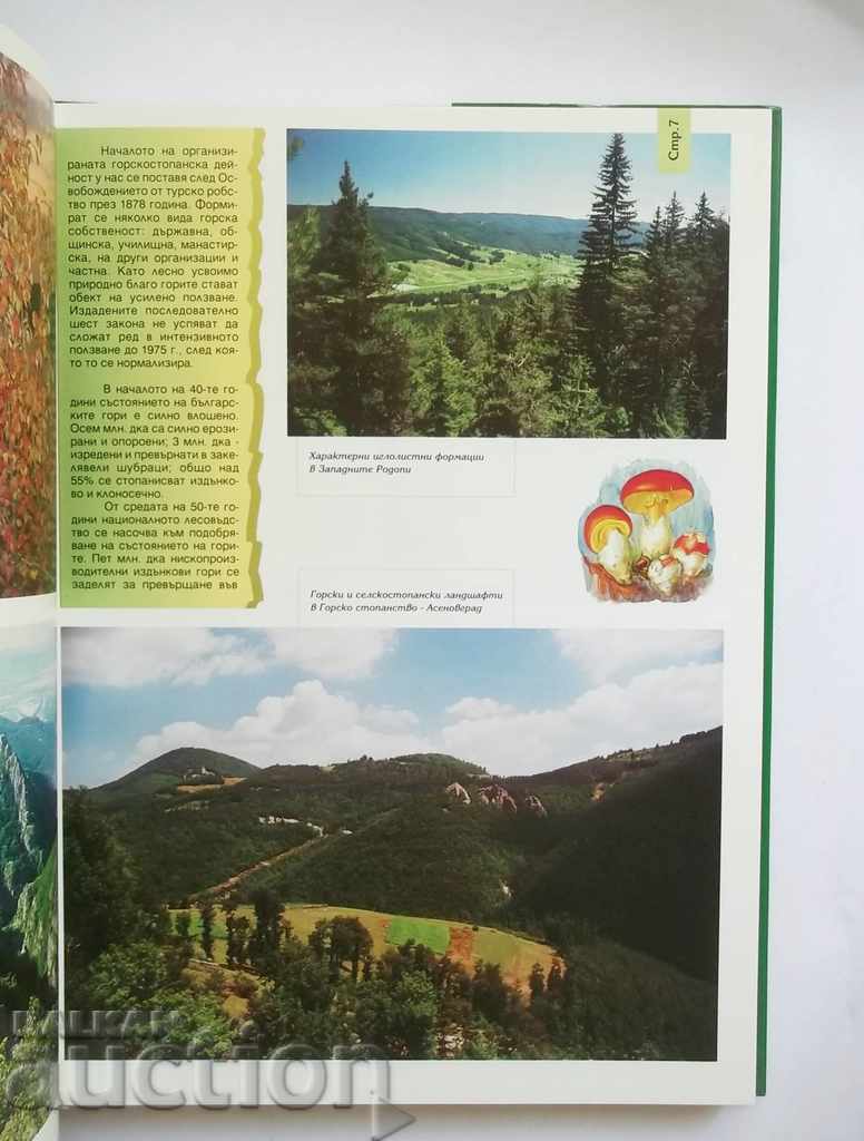 Forests and Forestry of Bulgaria - Ivan Kostov and others. with price 30.00 BGN | € 15.34 Forests and Forestry of Bulgaria - Ivan Kostov and others. with price 30.00 BGN | € 15.34