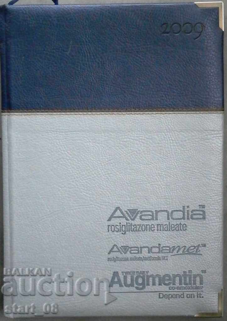 Calendar-notebook - 2009