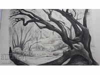 FANNY RABEL (1922-2008) Η οικογένεια στο δάσος