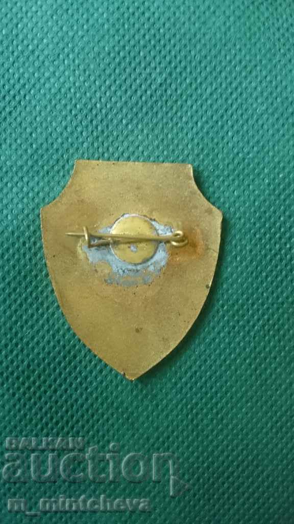 Auction  Chest Badge - 2 pieces