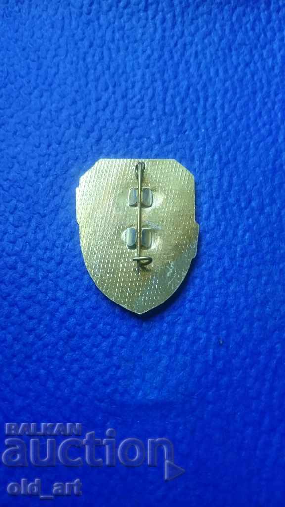 Chest Badge - 2 pieces - 5