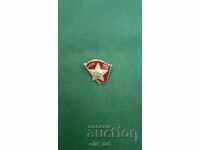 Luptător cu insignă împotriva fascismului și capitalismului