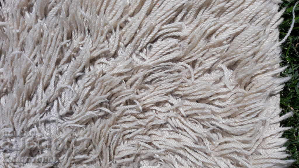 Auction Kitenik Auction Kitenik