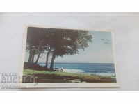 Καρτ ποστάλ Βάρνα Κοντά στη θάλασσα 1969