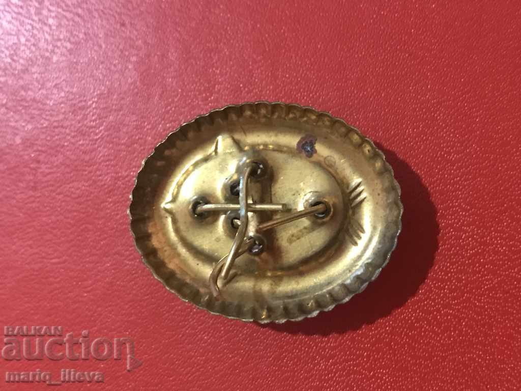 Cockpit for DAP State Automobile Company with price 3.00 BGN | € 1.53 Cockpit for DAP State Automobile Company with price 3.00 BGN | € 1.53