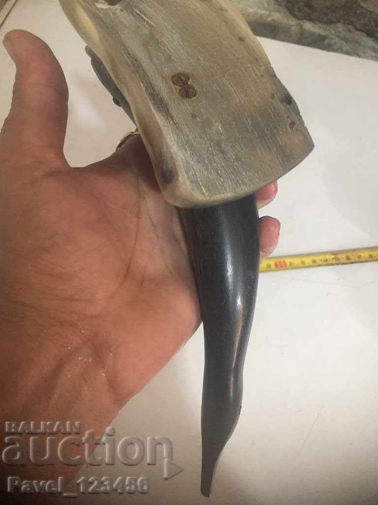 Livrarea O figură veche de corn