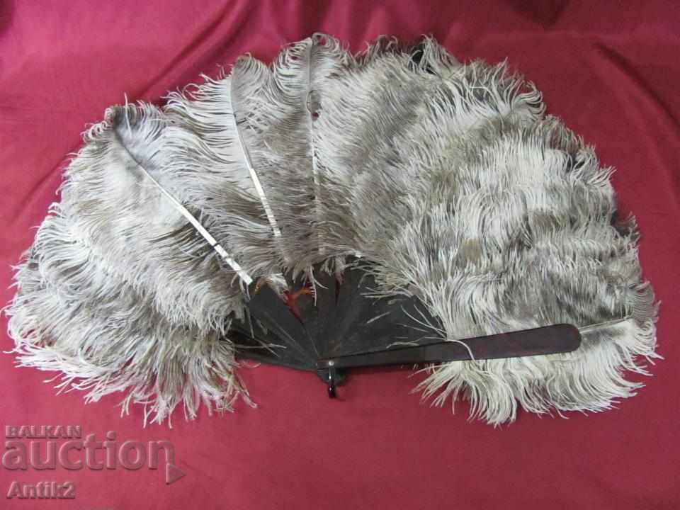 The 40 Ladies Fan with Ostrich Feathers with price 140.00 BGN | € 71.58 The 40 Ladies Fan with Ostrich Feathers with price 140.00 BGN | € 71.58