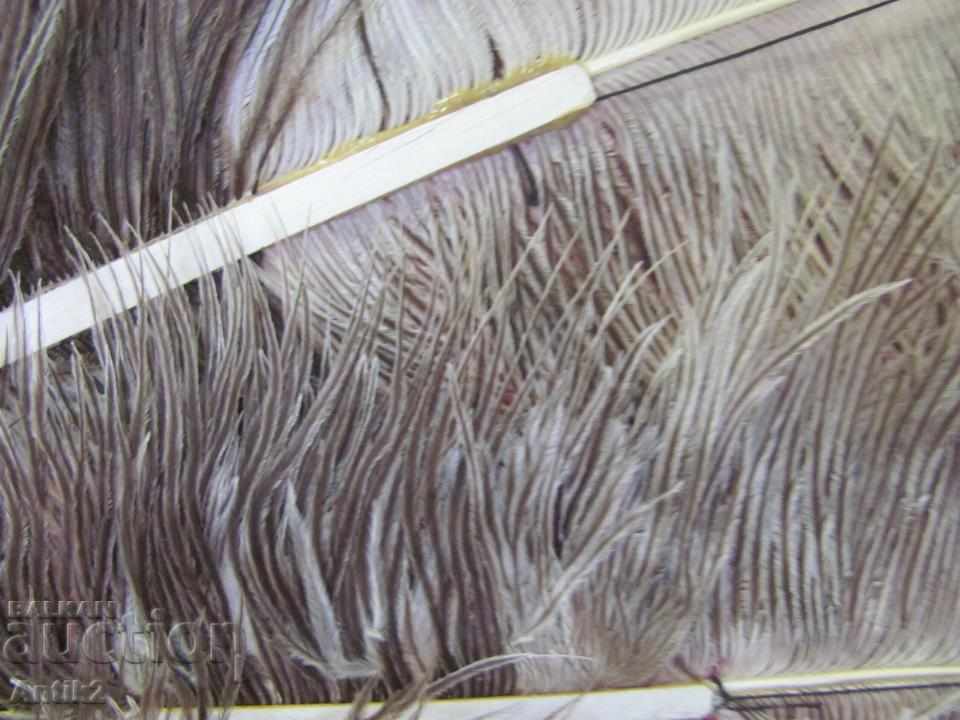 The 40 Ladies Fan with Ostrich Feathers - 6 The 40 Ladies Fan with Ostrich Feathers - 6