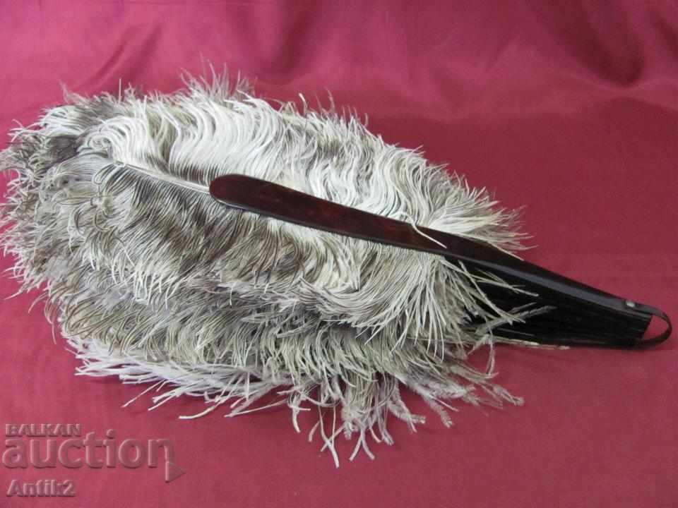 The 40 Ladies Fan with Ostrich Feathers - 7 The 40 Ladies Fan with Ostrich Feathers - 7