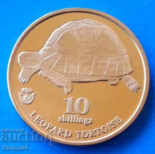 10 shilling 2017 (Turtle), Biafra