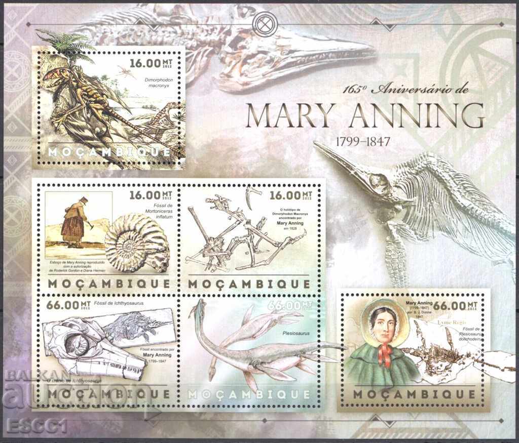 Καθαρά σημάδια Mary Anning Fossil Prehistoric 2012 Μοζαμβίκη