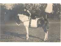 Fotografie veche - Acrobație pe cai